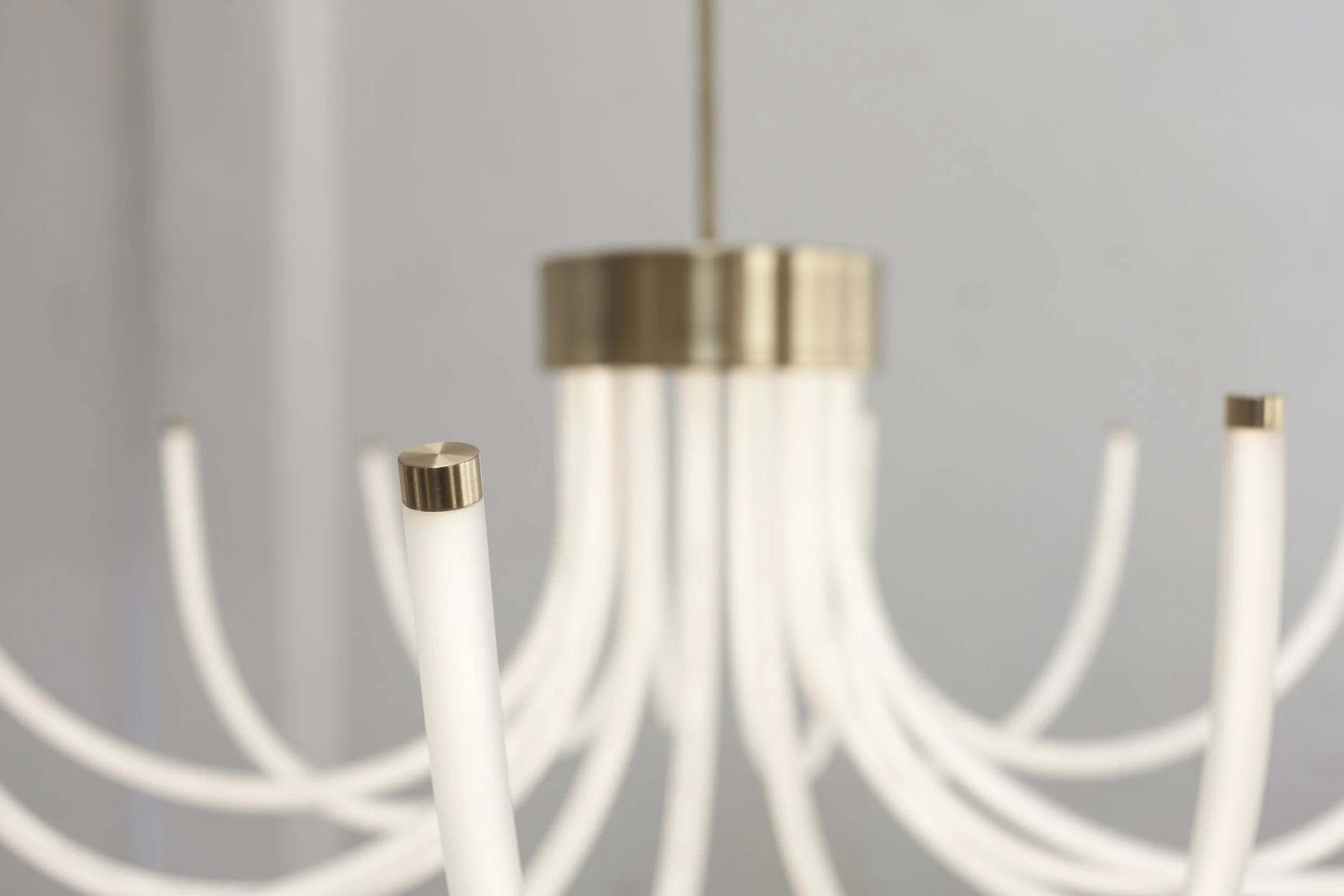 BLOOM - rigid det.jpg