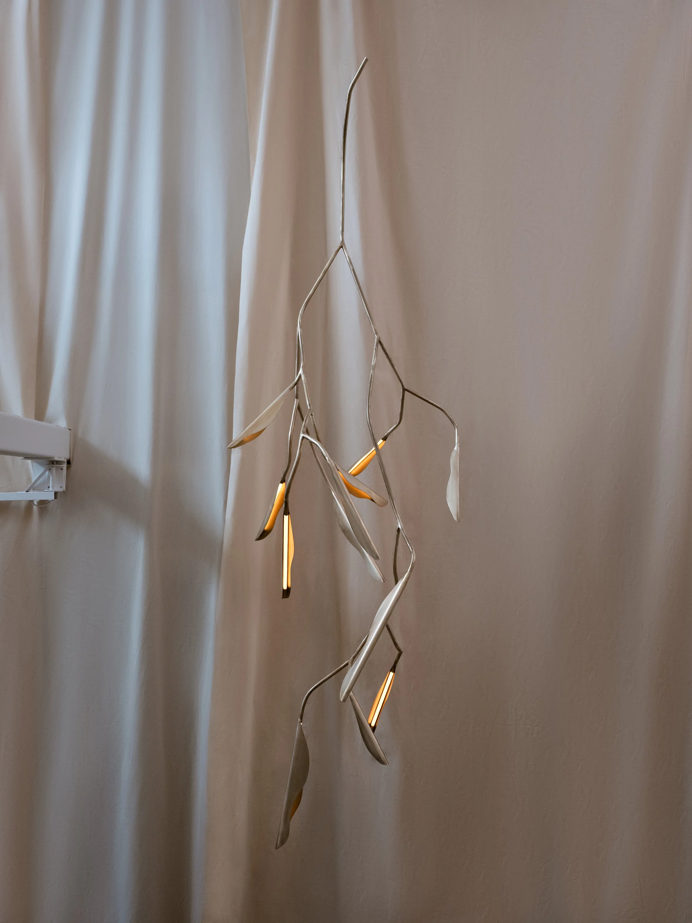 EC-Philia-MaterialPerpetua-14 .jpg