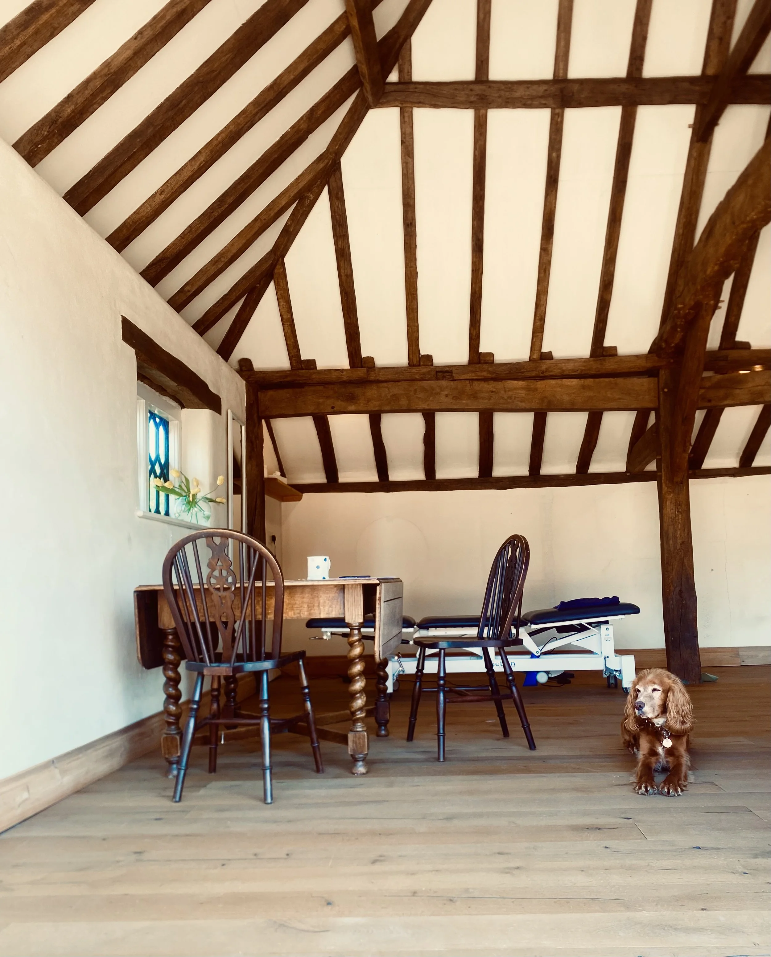 A cozy converted barn with exposed wooden beams. A therapy couch or examination table and a gym or rehabilitation space