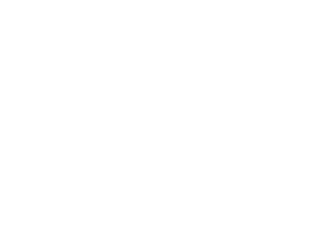 Politecnico di Milano