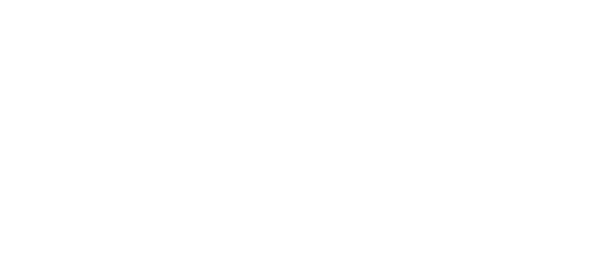 Fondazione Cariplo