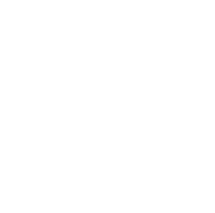 Musicamorfosi