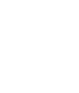 Municipio 3