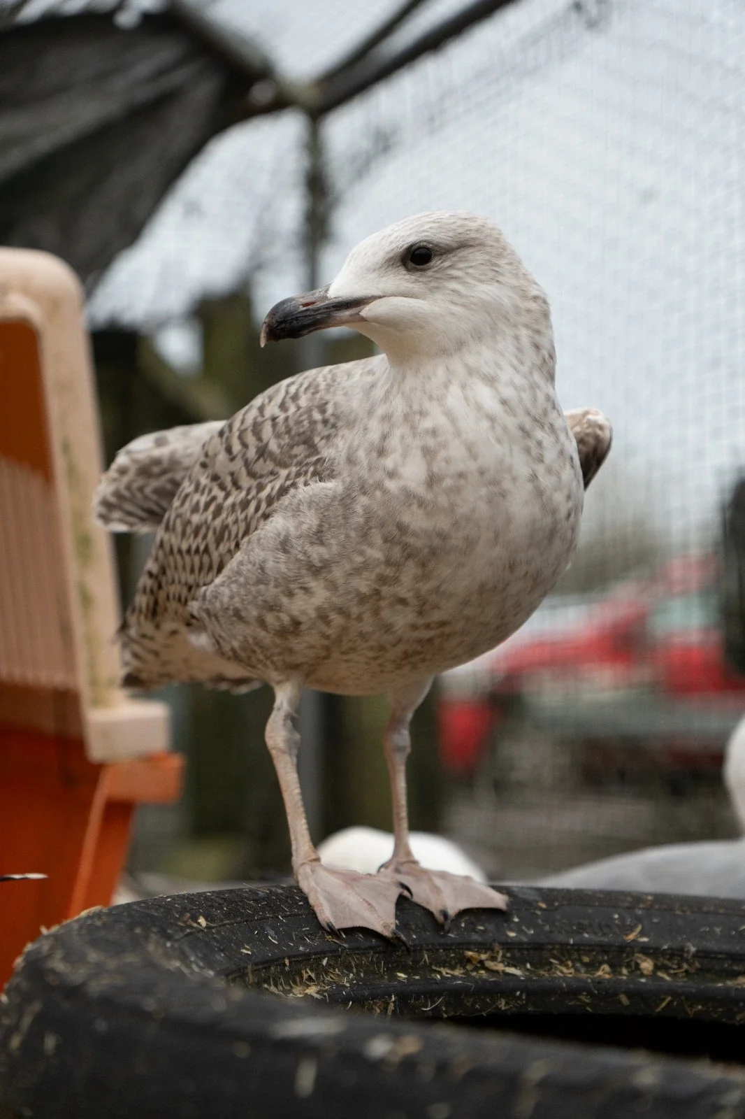 WhatsApp Image 2026-03-25 at 13.18.00.webp