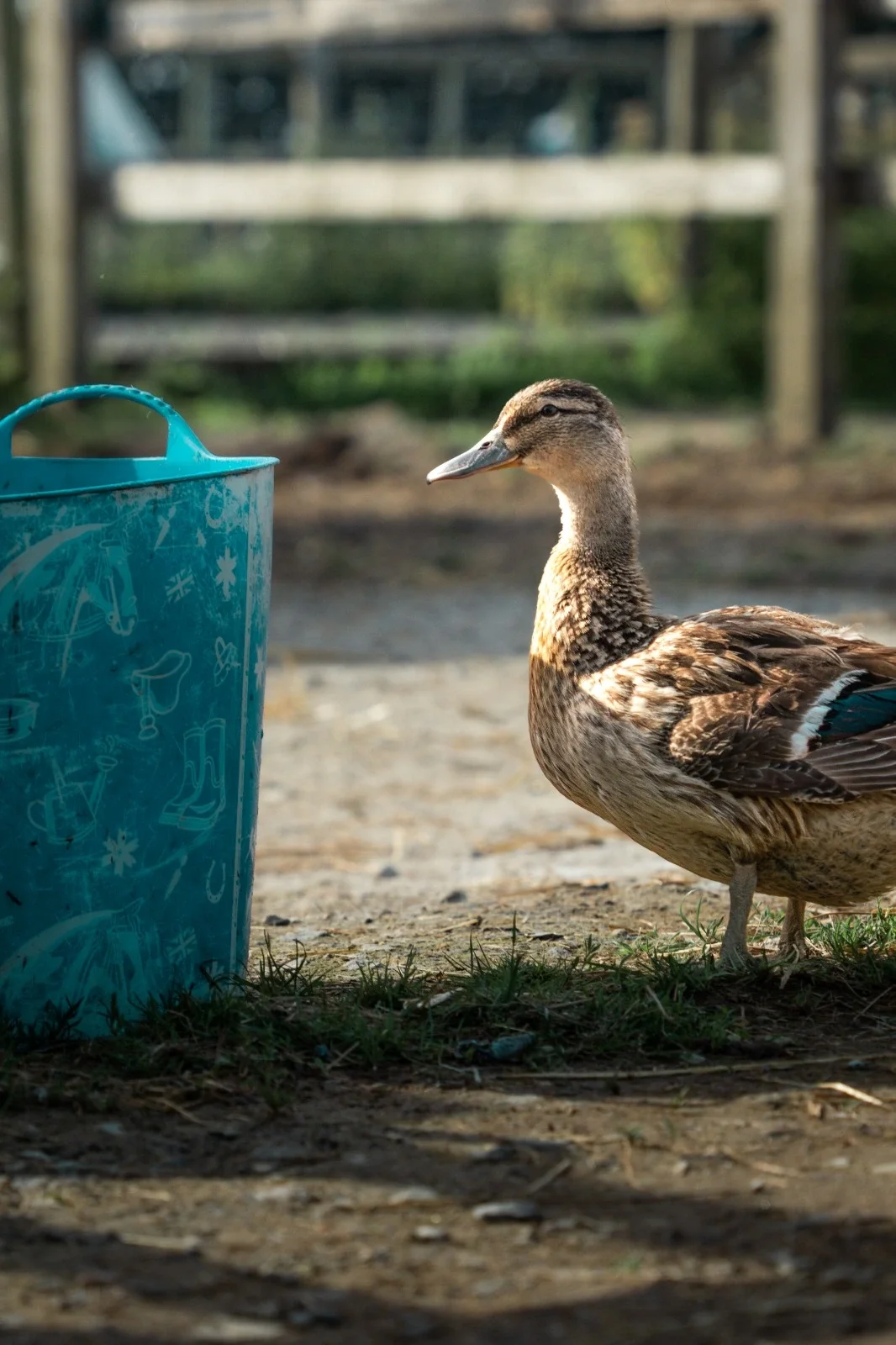 WhatsApp Image 2026-03-25 at 13.18.04.webp