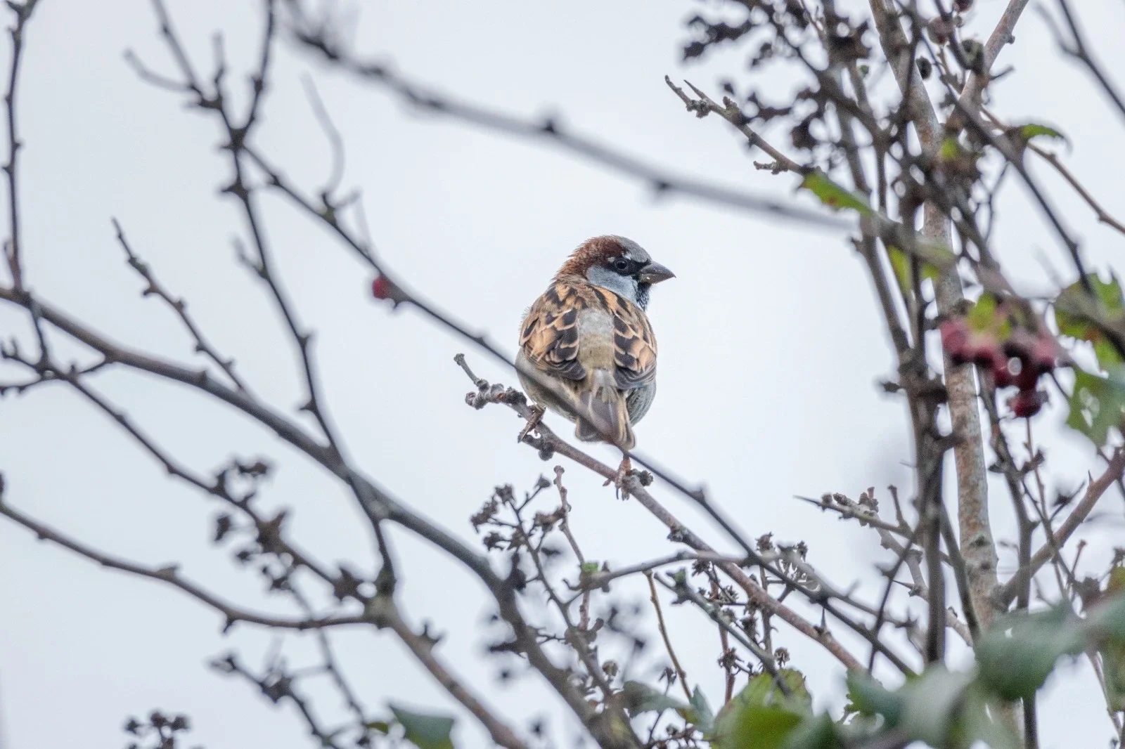 WhatsApp Image 2026-03-25 at 13.18.05.webp