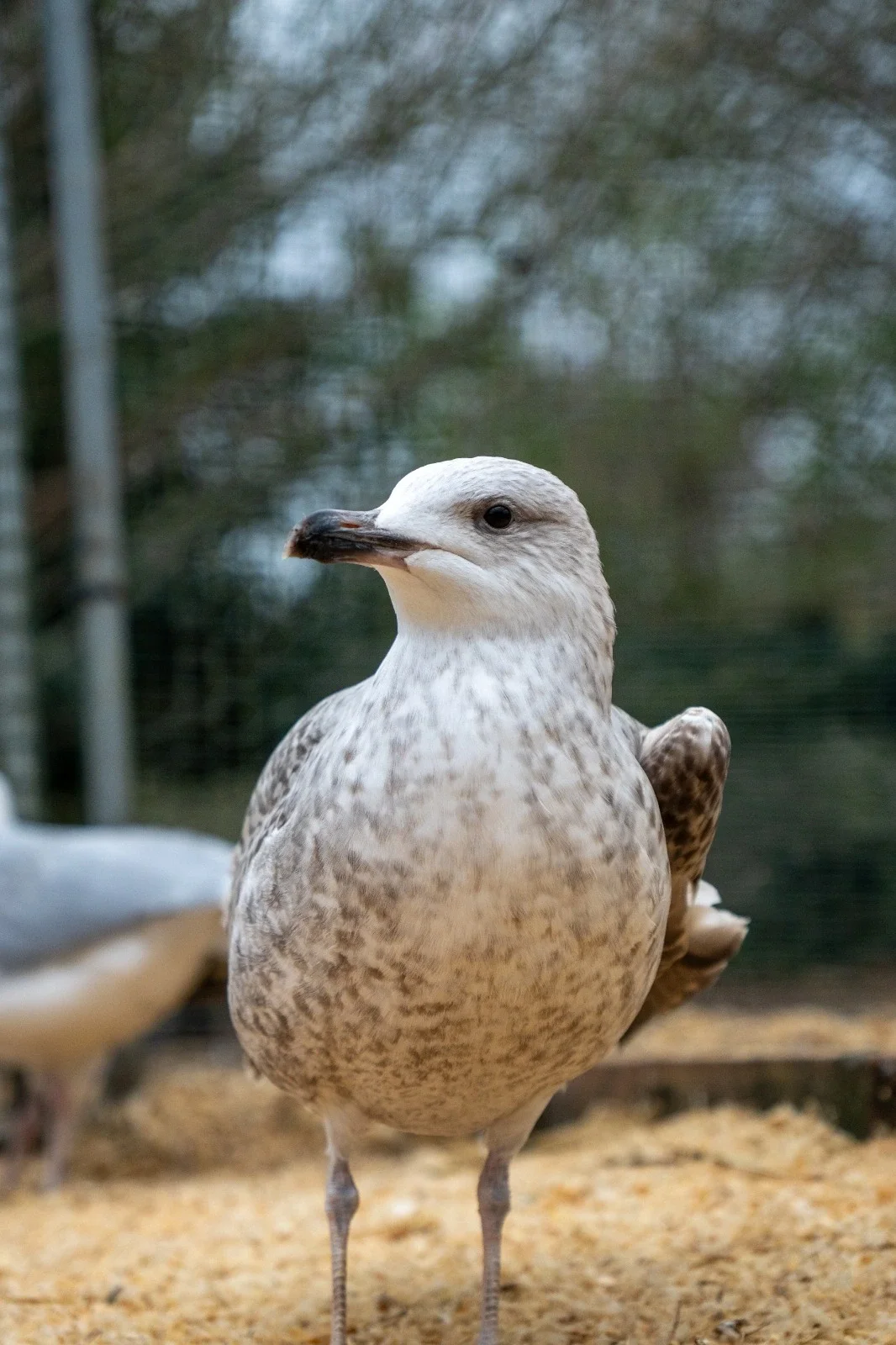 WhatsApp Image 2026-03-25 at 13.18.06 (2).webp