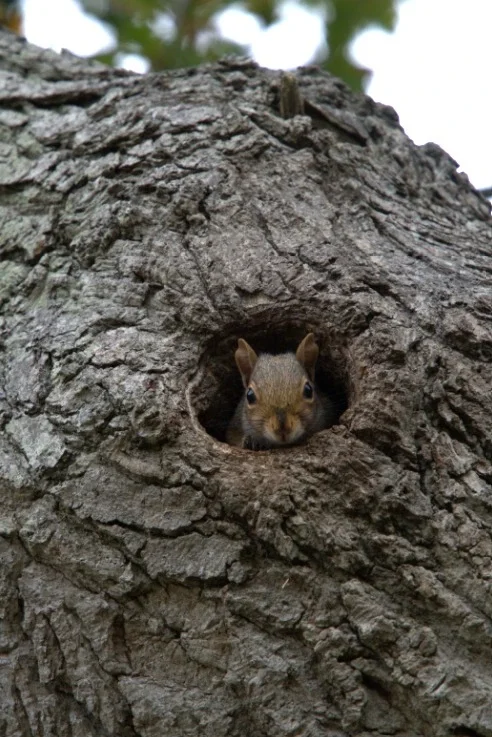 WhatsApp Image 2026-03-25 at 13.20.49.webp