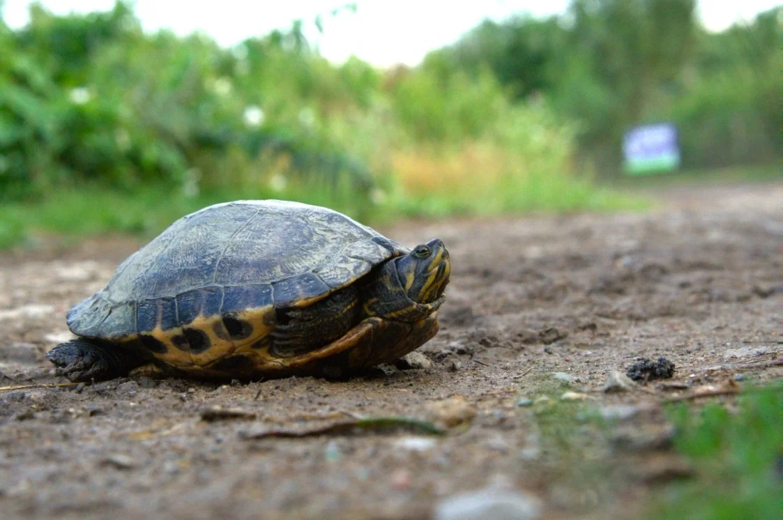 WhatsApp Image 2026-03-25 at 13.22.04.webp