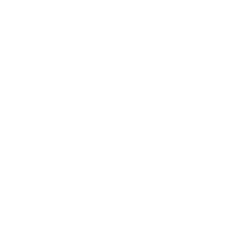 Alta Persona