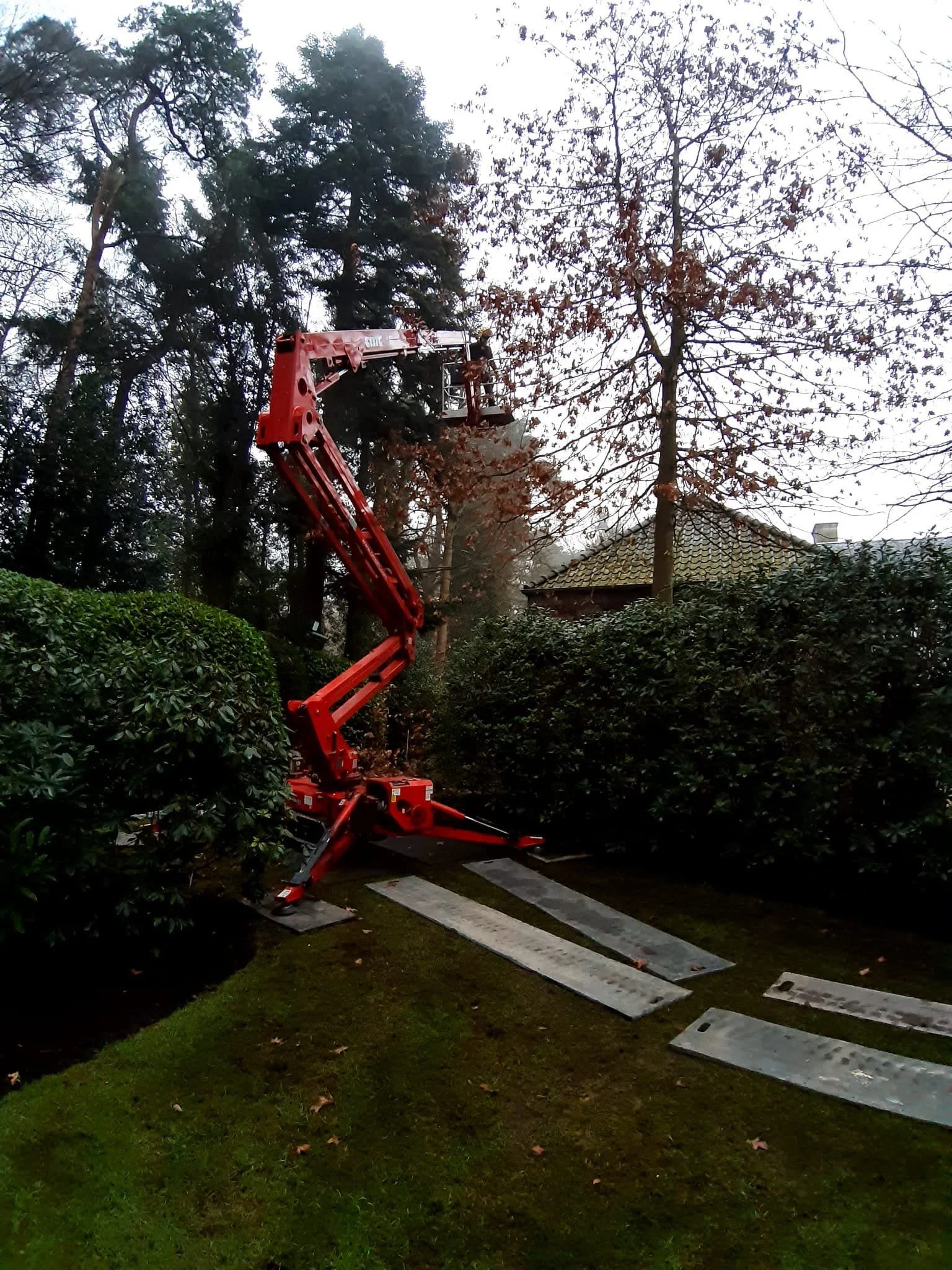 Boomverzorging 1.6.jpg