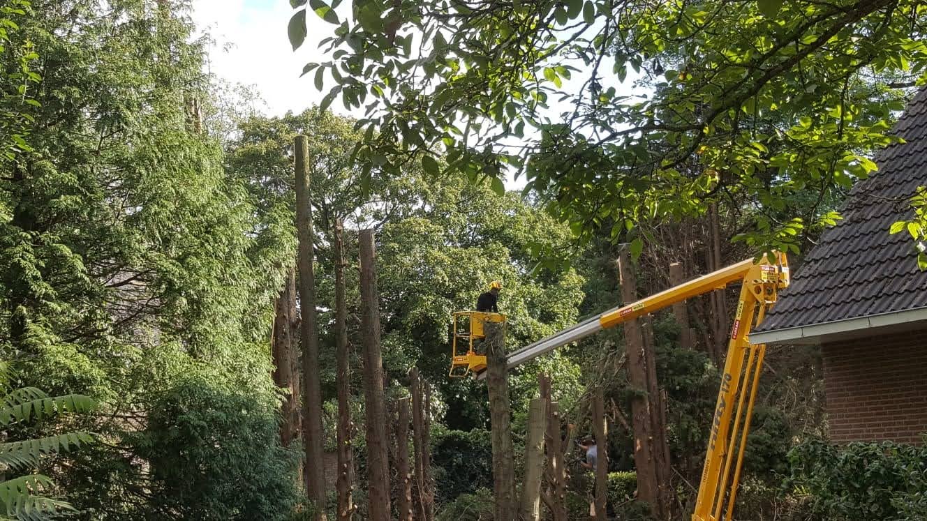 Bomen kappen 1.4.jpg