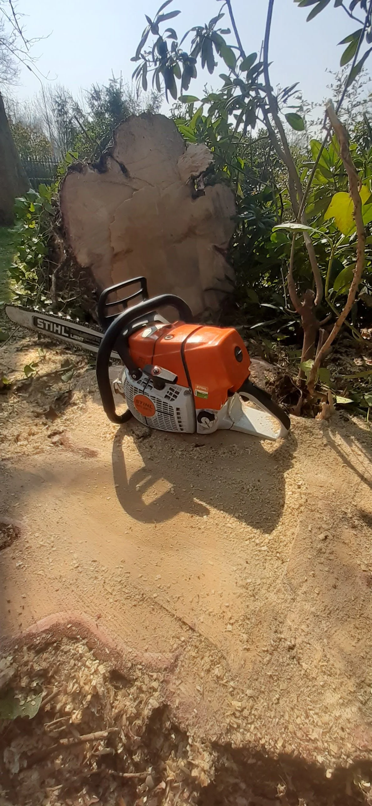 Bomen kappen 1.3.jpg