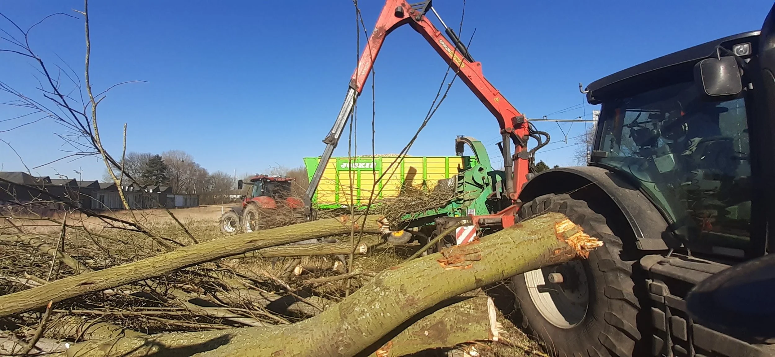 Bomen kappen 1.2.jpg