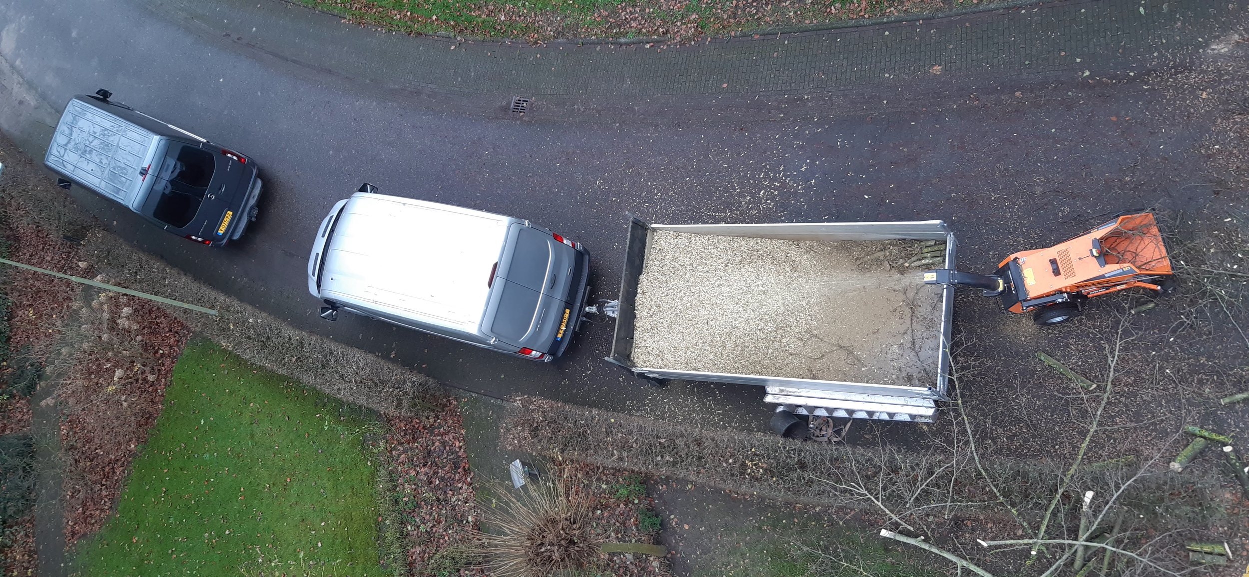 Boomverzorging 1.1.jpeg