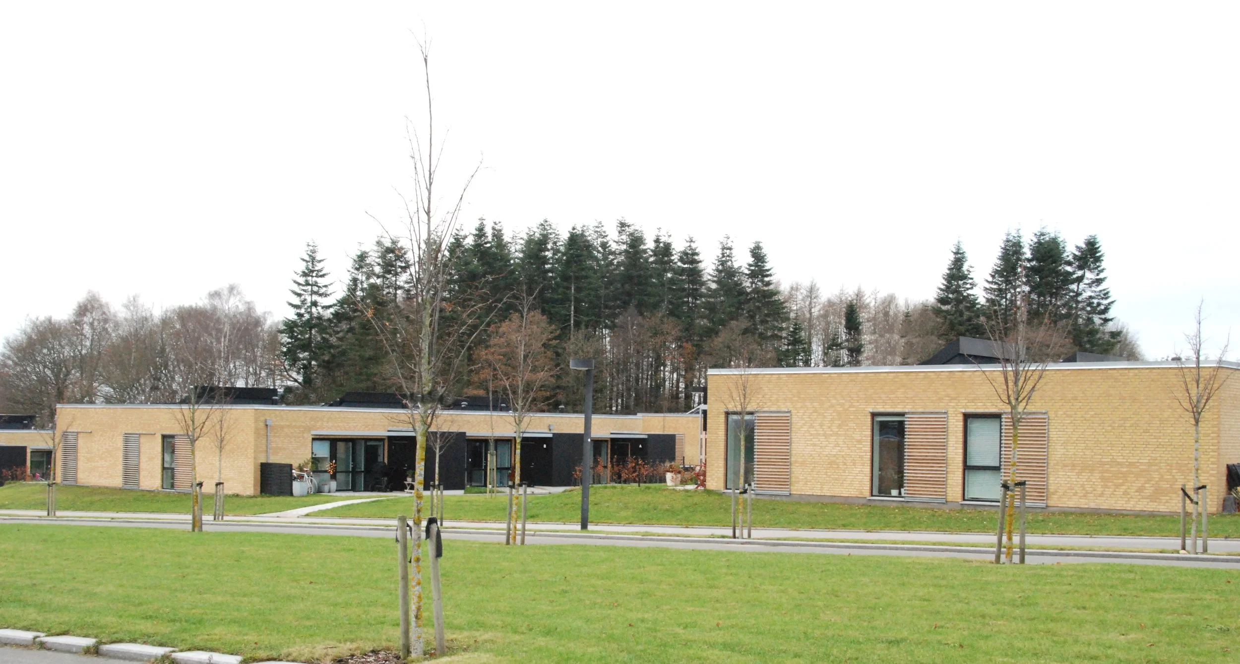 5-års-eftersyn