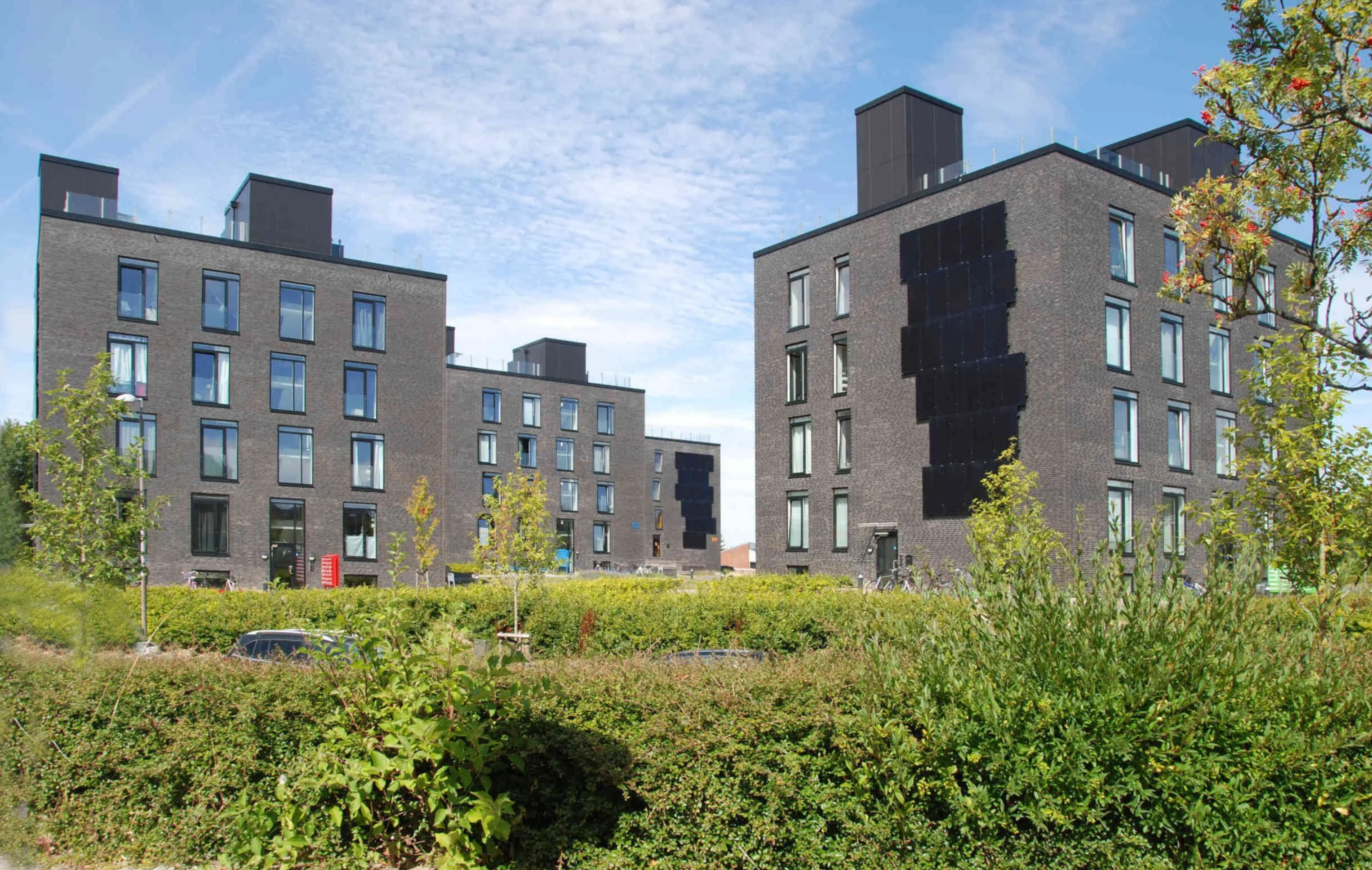 Dreyerarkitekter_ungdomsboliger_.png