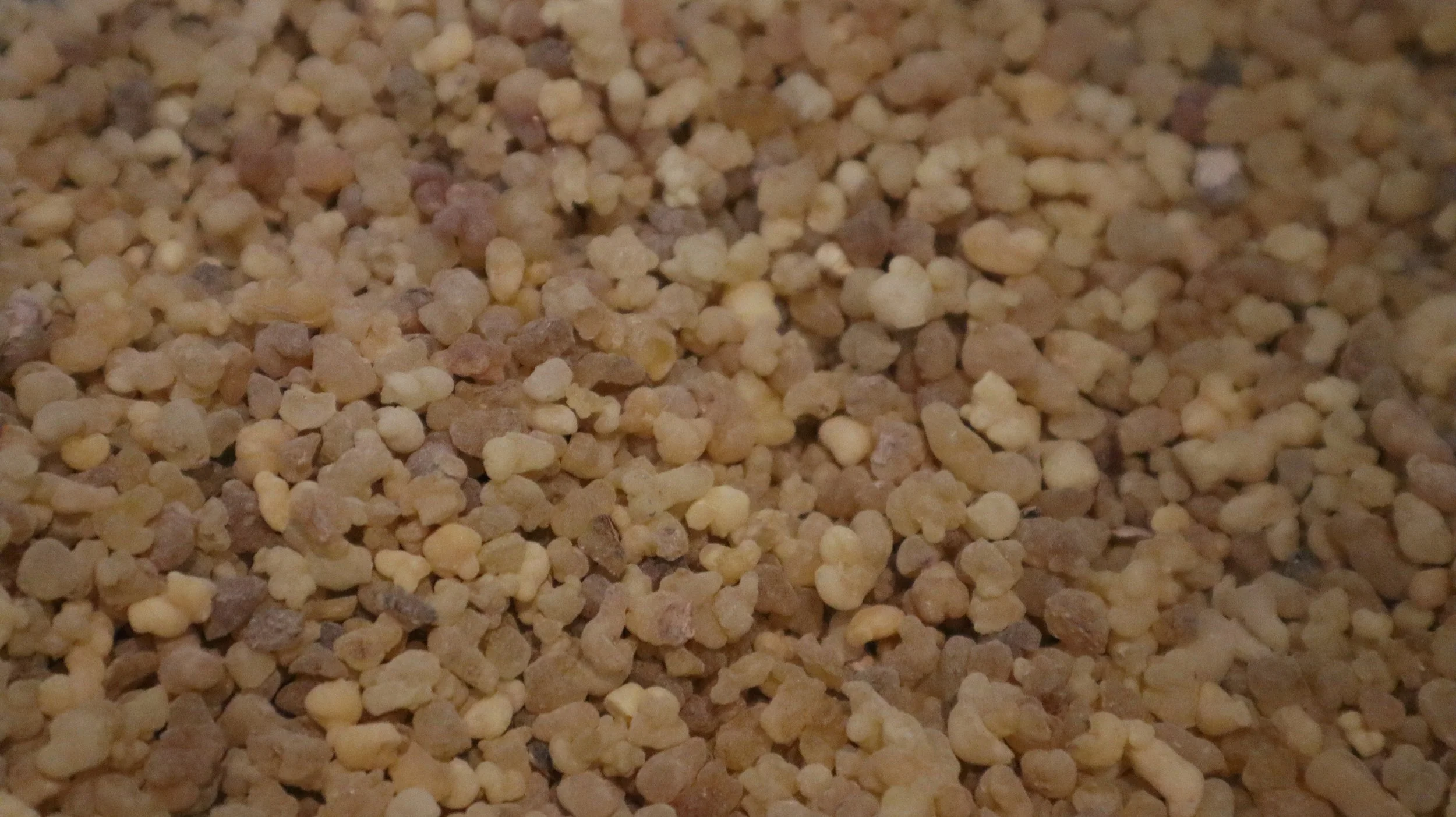 frankincense.JPG