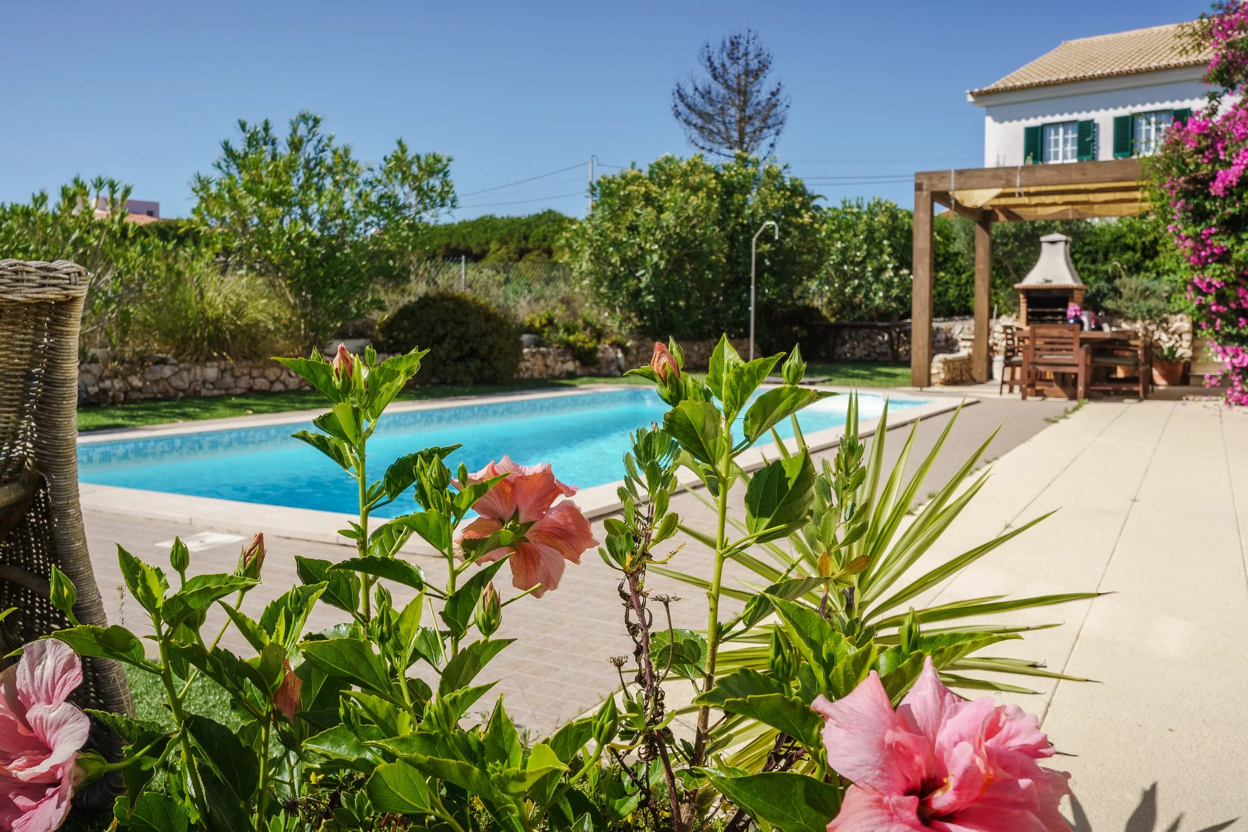 A backyard with a swimming pool, pink and green flowering plants in the foreground, a stone patio, and a house with green shutters in the background under a blue sky.