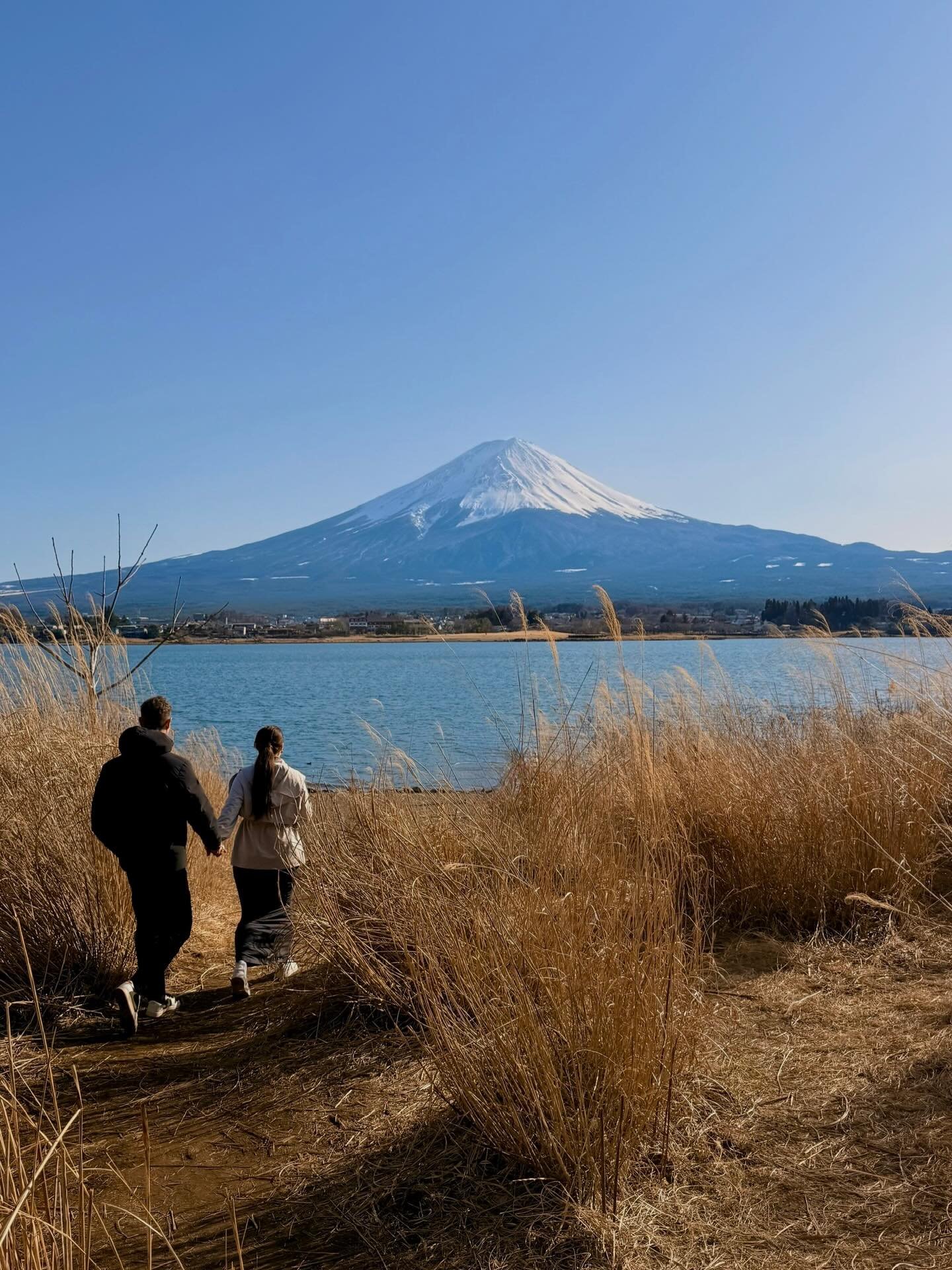 Teeny tiny snippets of the best few weeks in Tokyo 🇯🇵