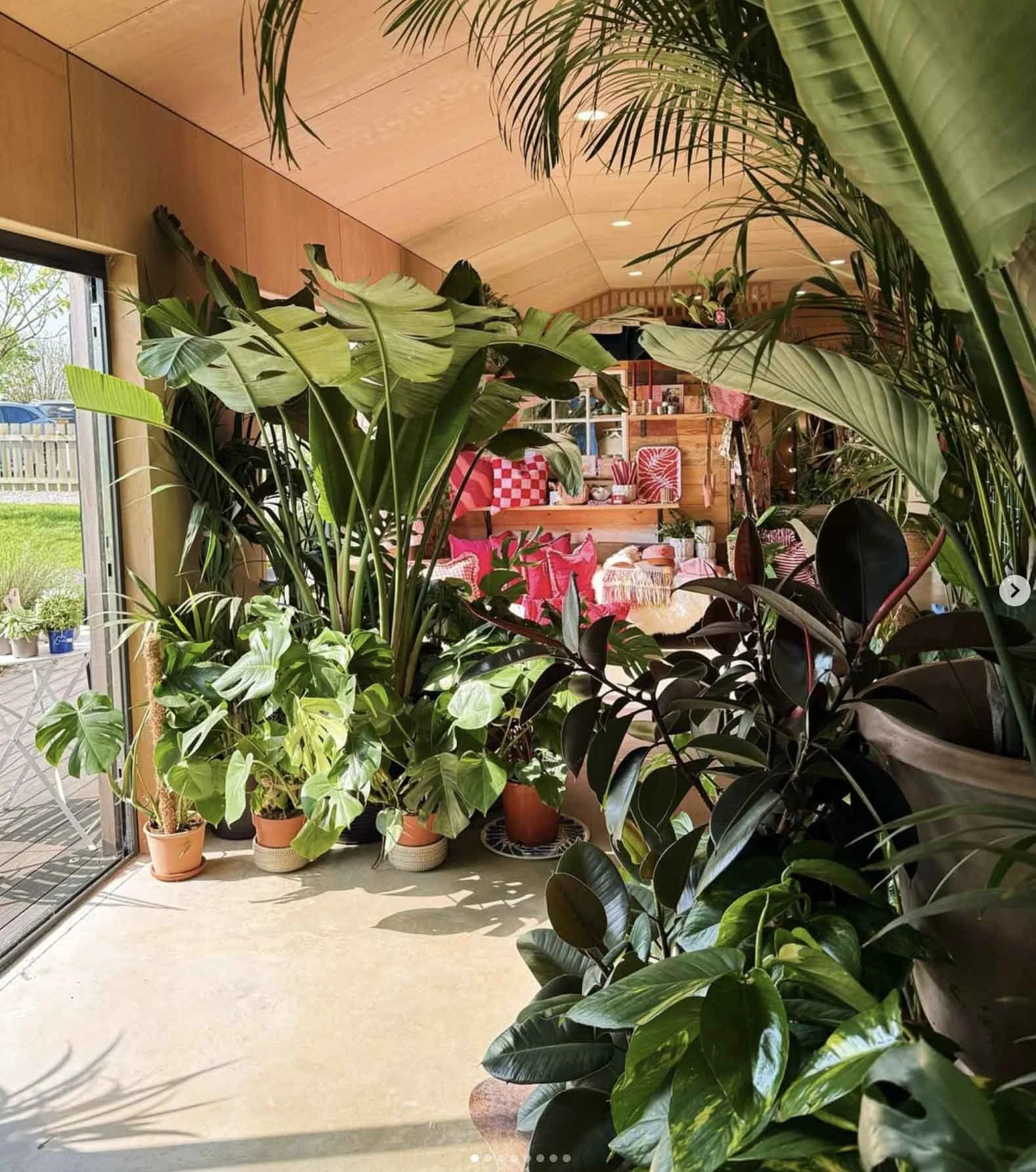 Large open windows illuminate the interior of the shop creating atmosphere. Shwoing the strcuture of the roof, inset lighting and room dividers