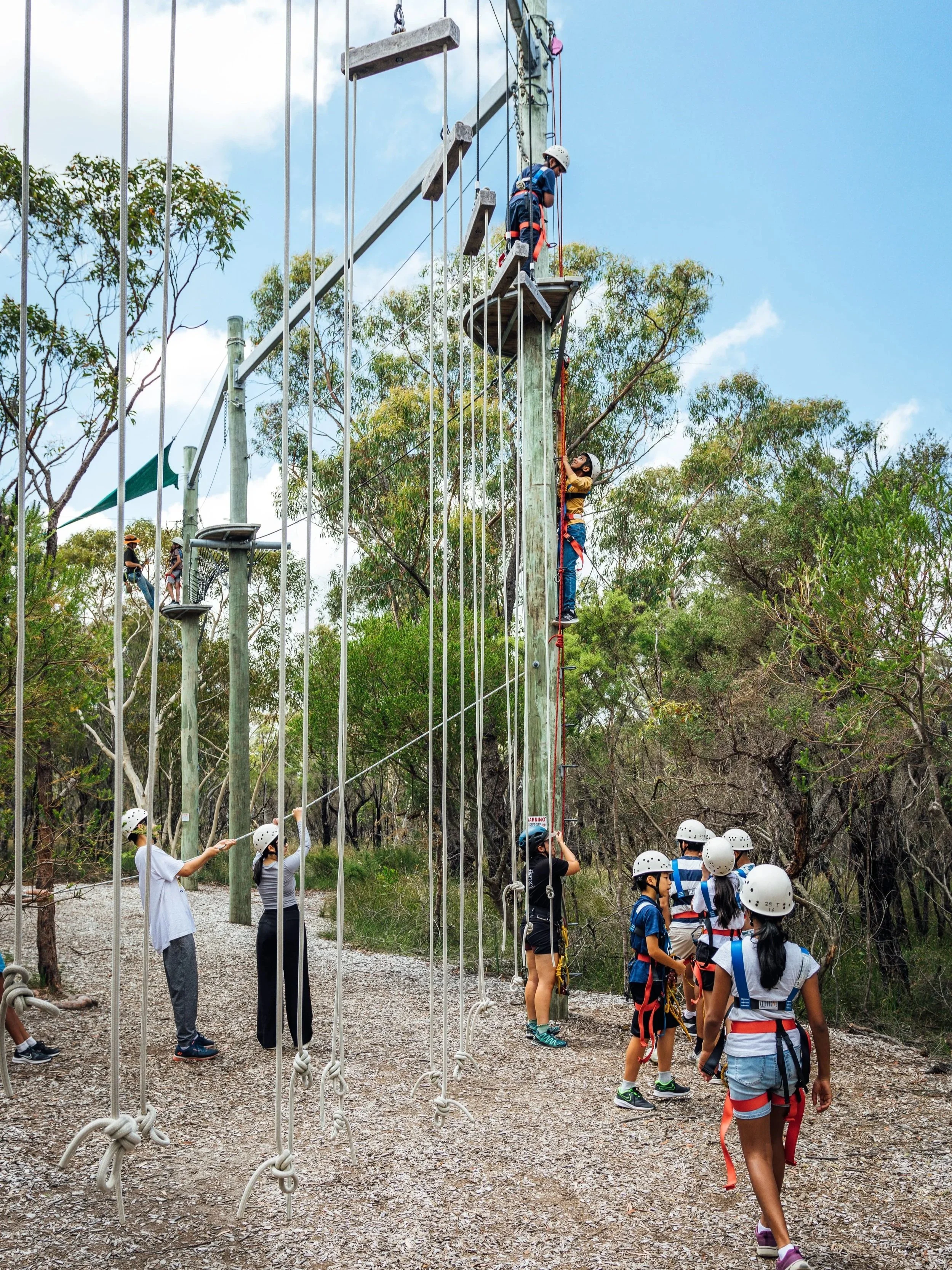 Children and adults at a ropes course outdoors, wearing helmets and harnesses. Some are climbing the poles and ropes, while others are waiting.