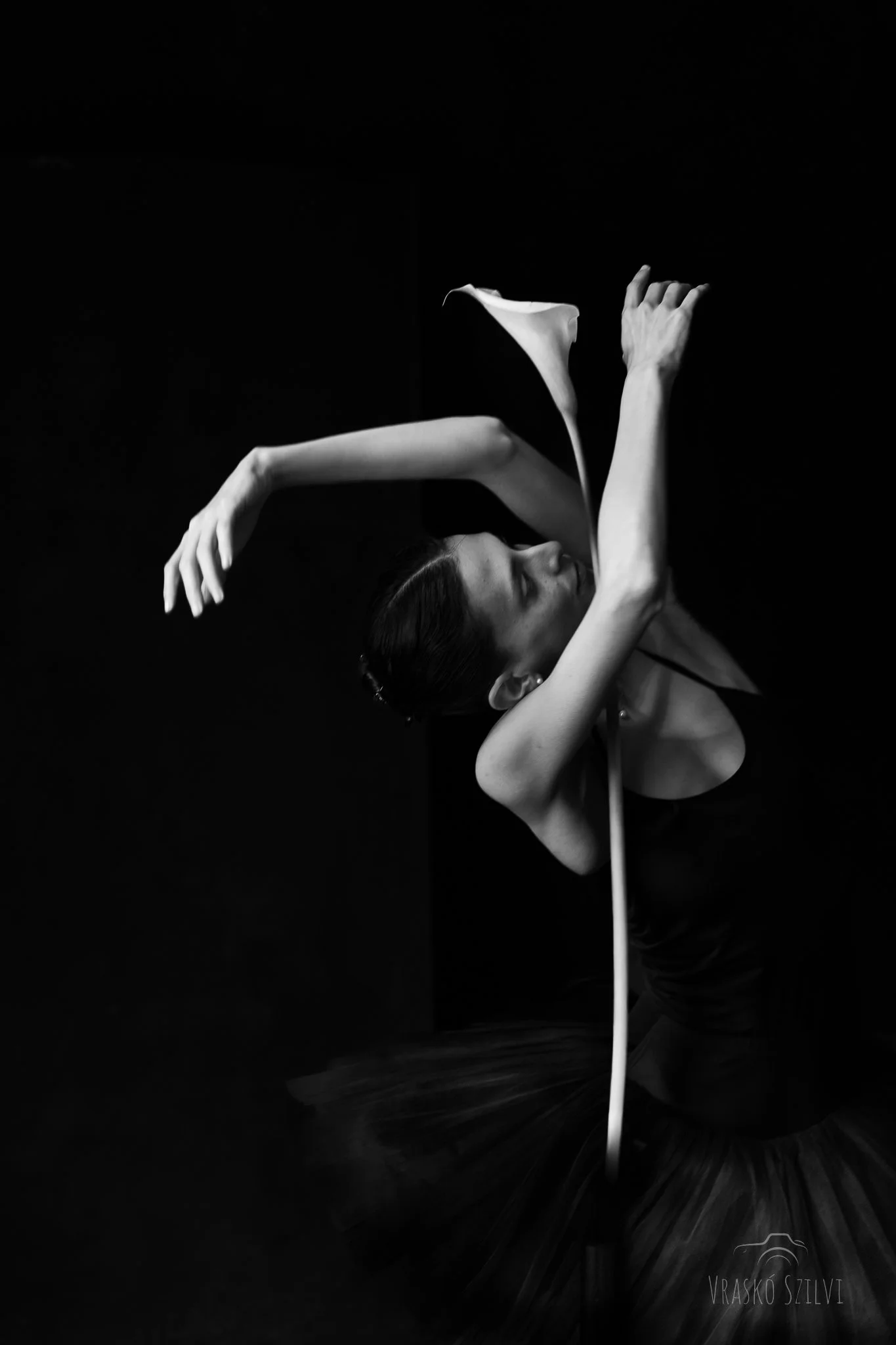 Adi_Gross-28.jpg