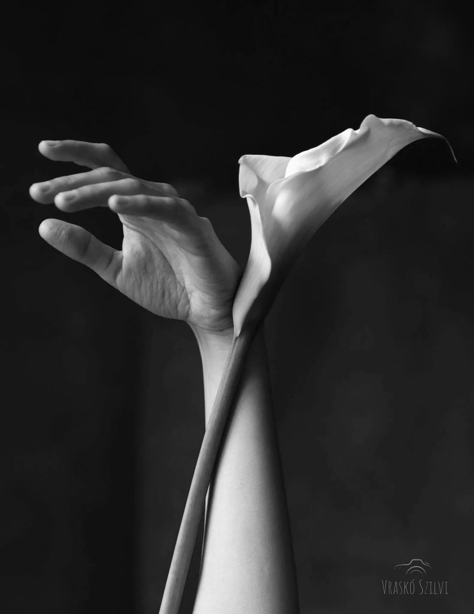 Adi_Gross-21.jpg