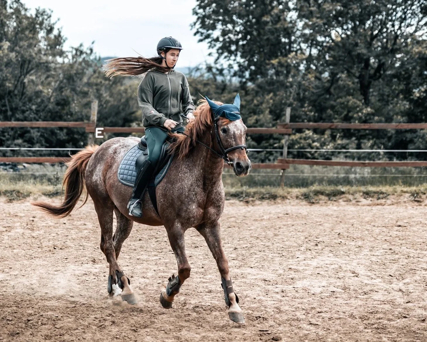 ló fotózás
lovas fotózás
állat fotózás