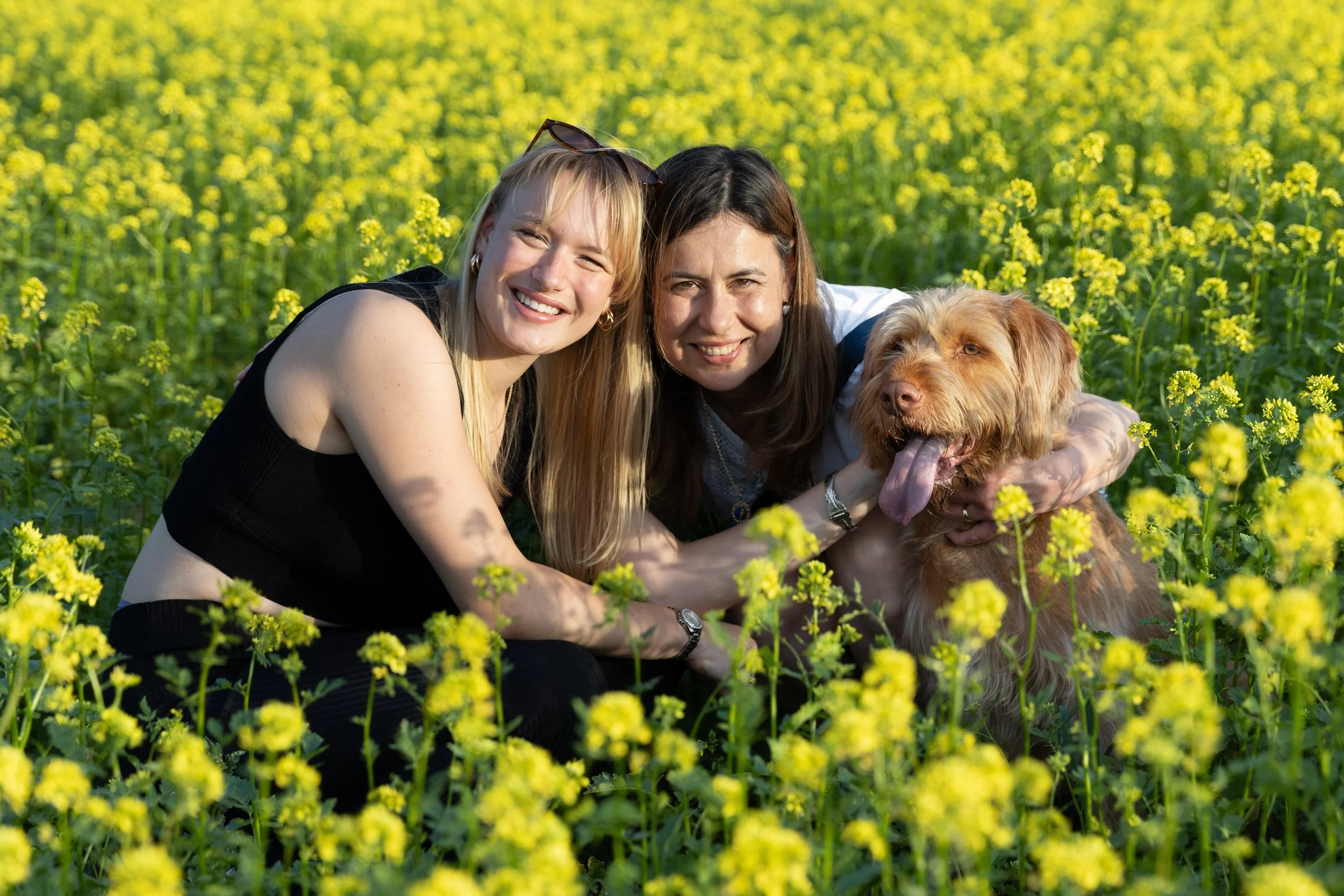 portréfotózás
műtermi fotózás
glamour fotózás
divat fotózás
stúdió fotózás
kreatív fotózás
családi fotózás
kutyás portré
kutyás fotózás
repce mező fotózás