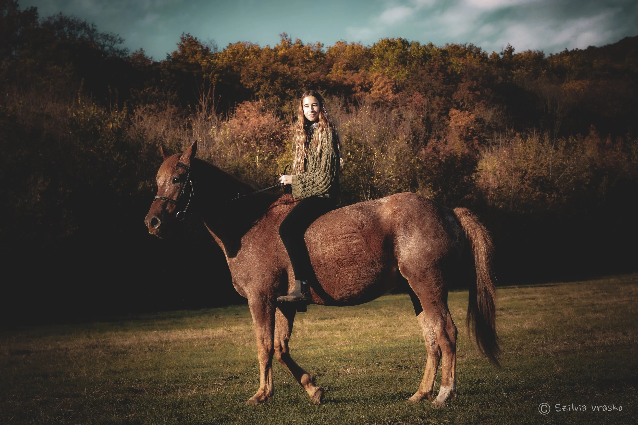 horse photography
ló fotózás
lovas portré fotózás
lovas fotózás
lifestyle fotózás