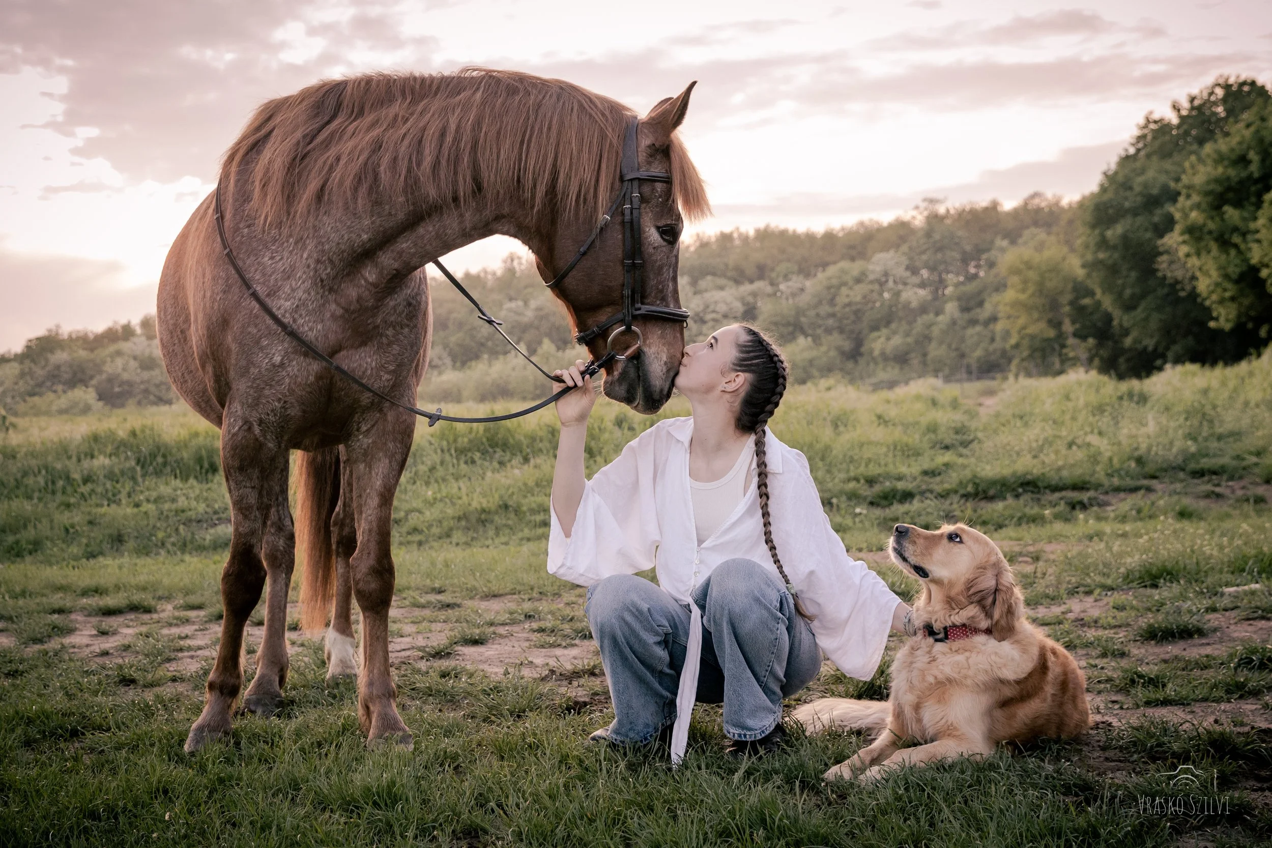 lovas portré fotózás
kutyás portré fotózás
lifestyle fotózás
