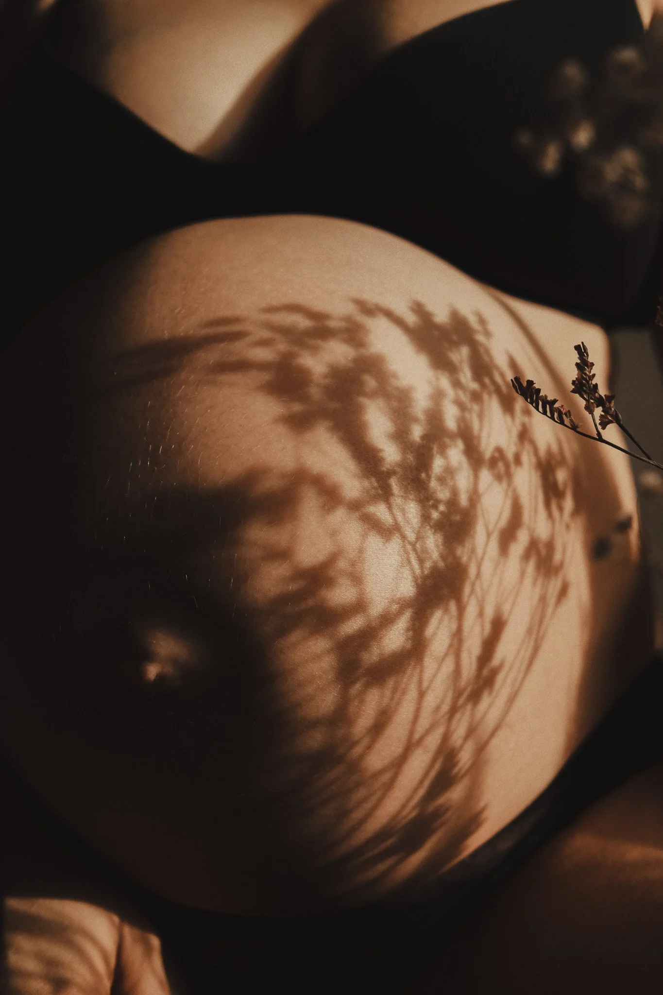 Nahaufnahme eines Bauches mit einem Schatten eines Zweigs mit Blättern, der auf die Haut fällt.