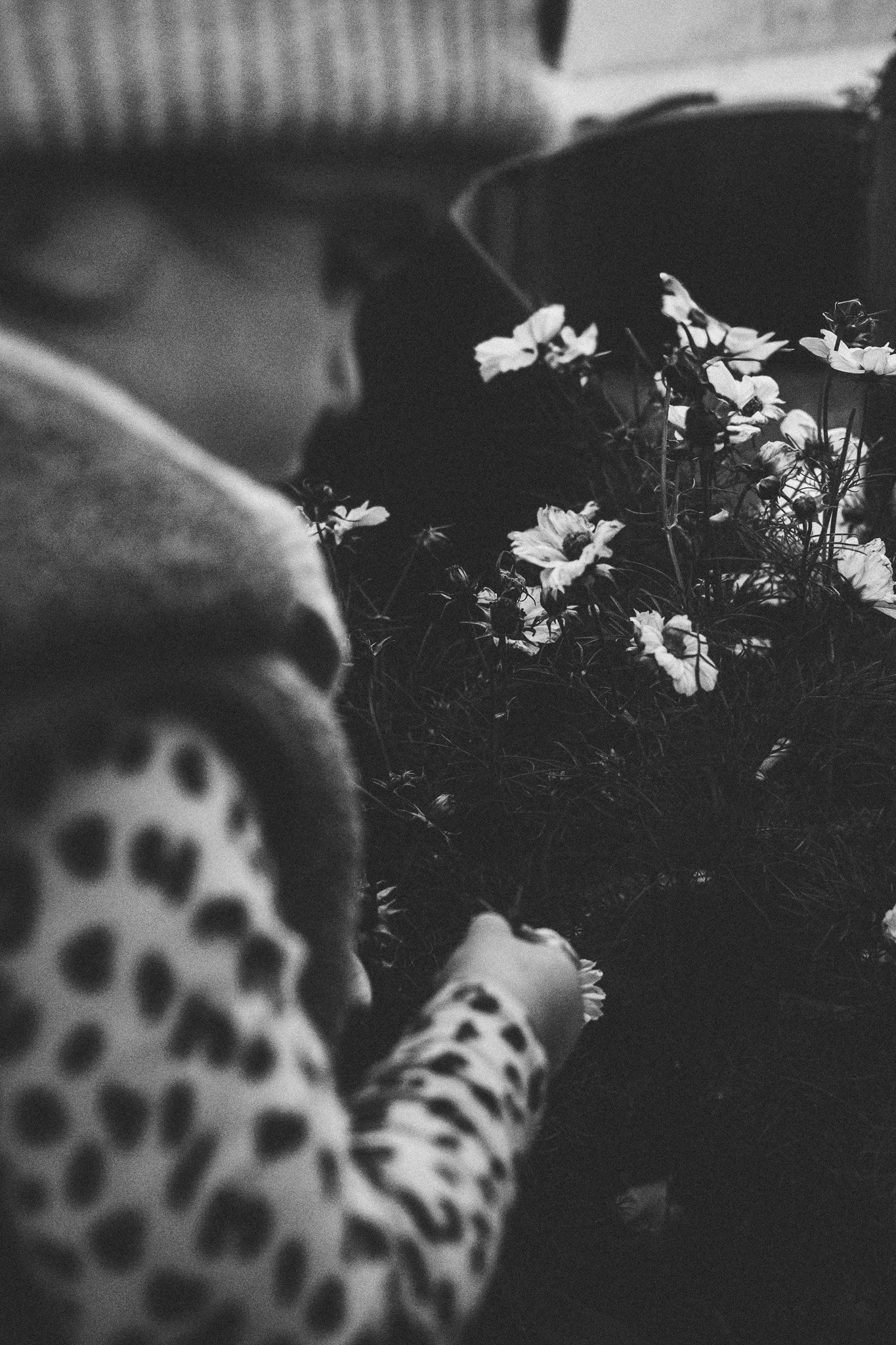 Ein Kind in einem Polka-Dot-Kleid pflanzt oder kümmert sich um einen Blumenstrauß in einem Topf.