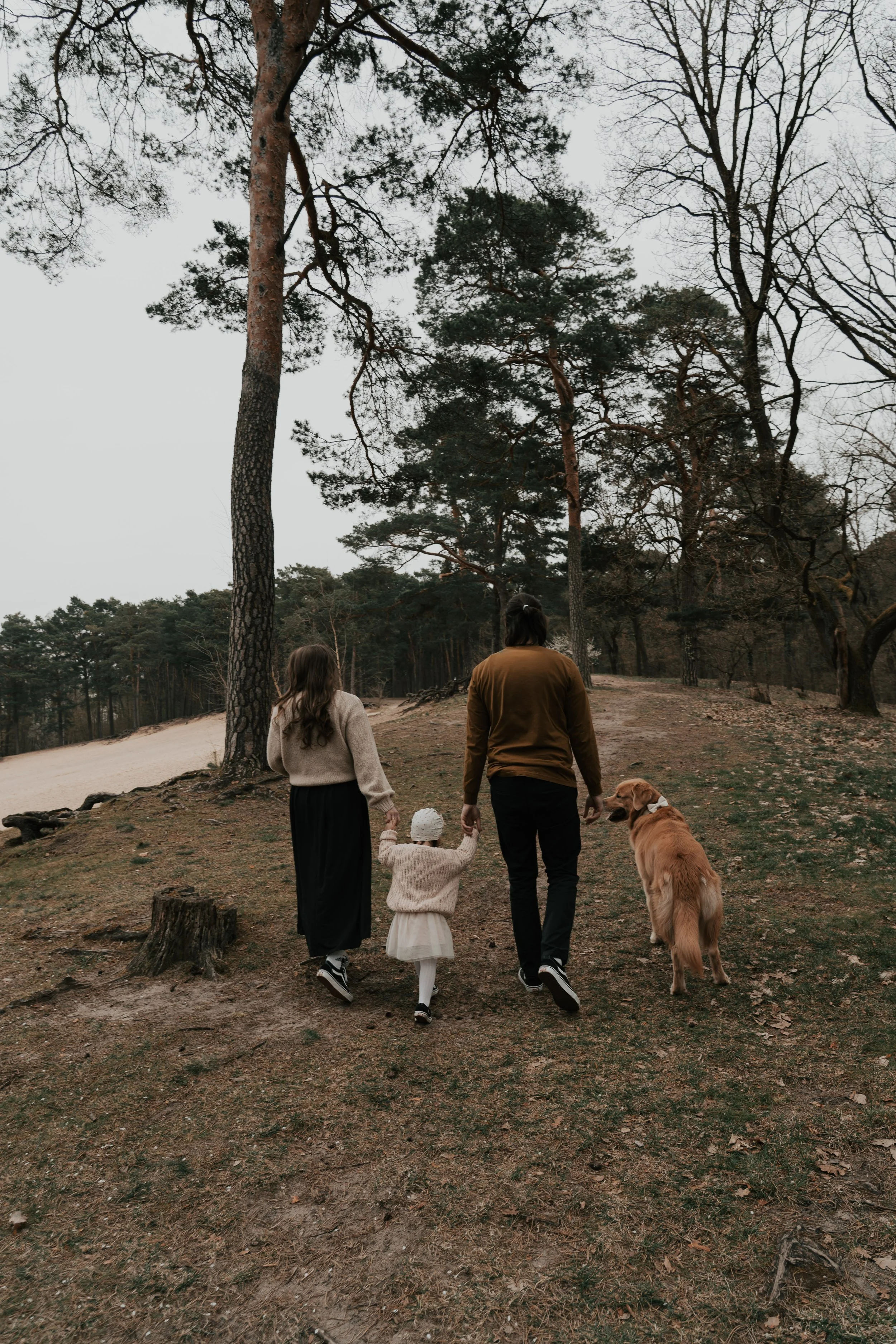Ungestellte Familienfotografie mit Hund in Berlin – authentischer Familienspaziergang mitten in der Natur im zeitlosen Bildstil.