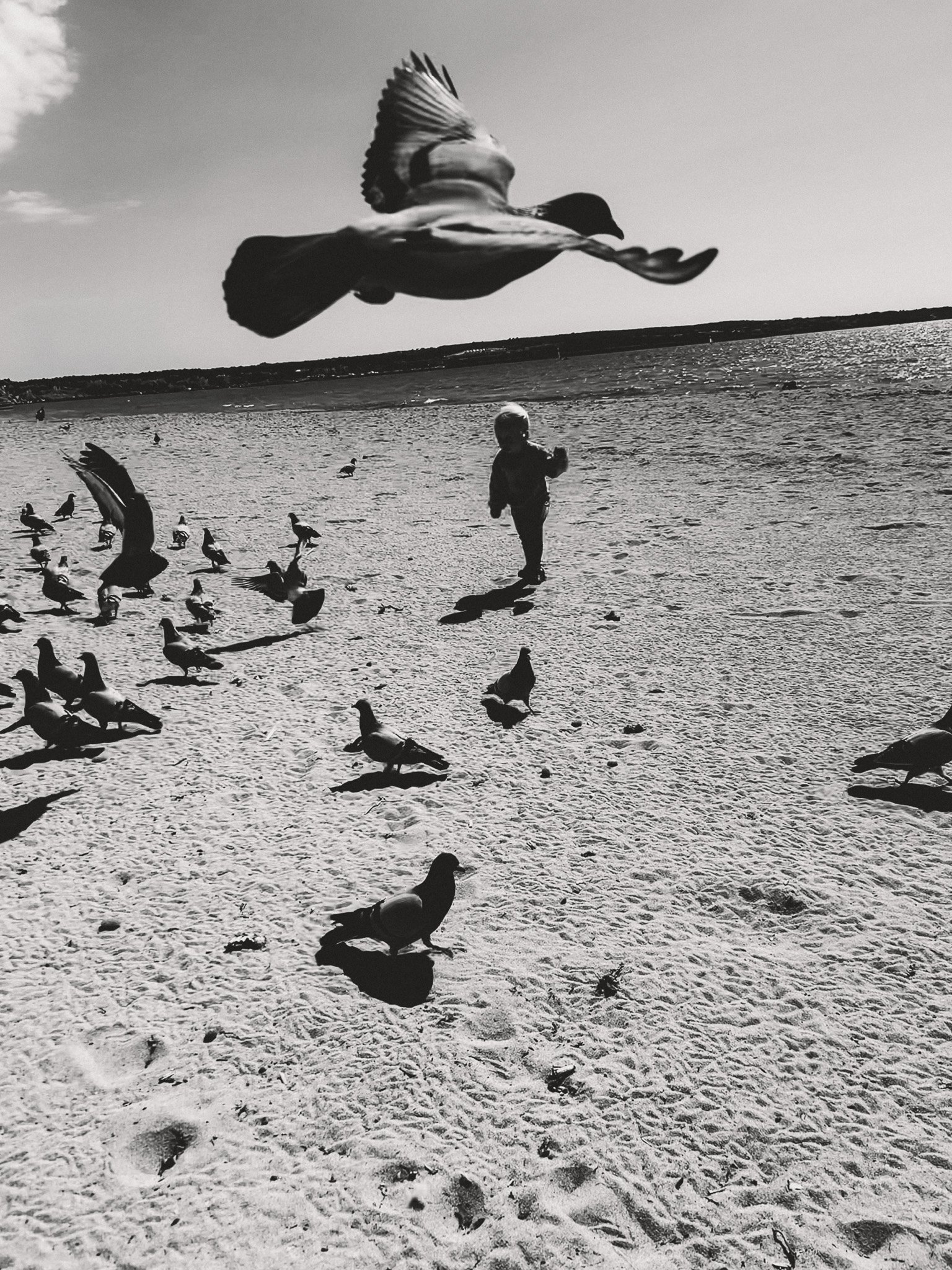 Schwarz-weiß-Fotografie eines Kindes am Strand, umgeben von Tauben – poetische, zeitlose Familienfotografie in ruhiger Stimmung.