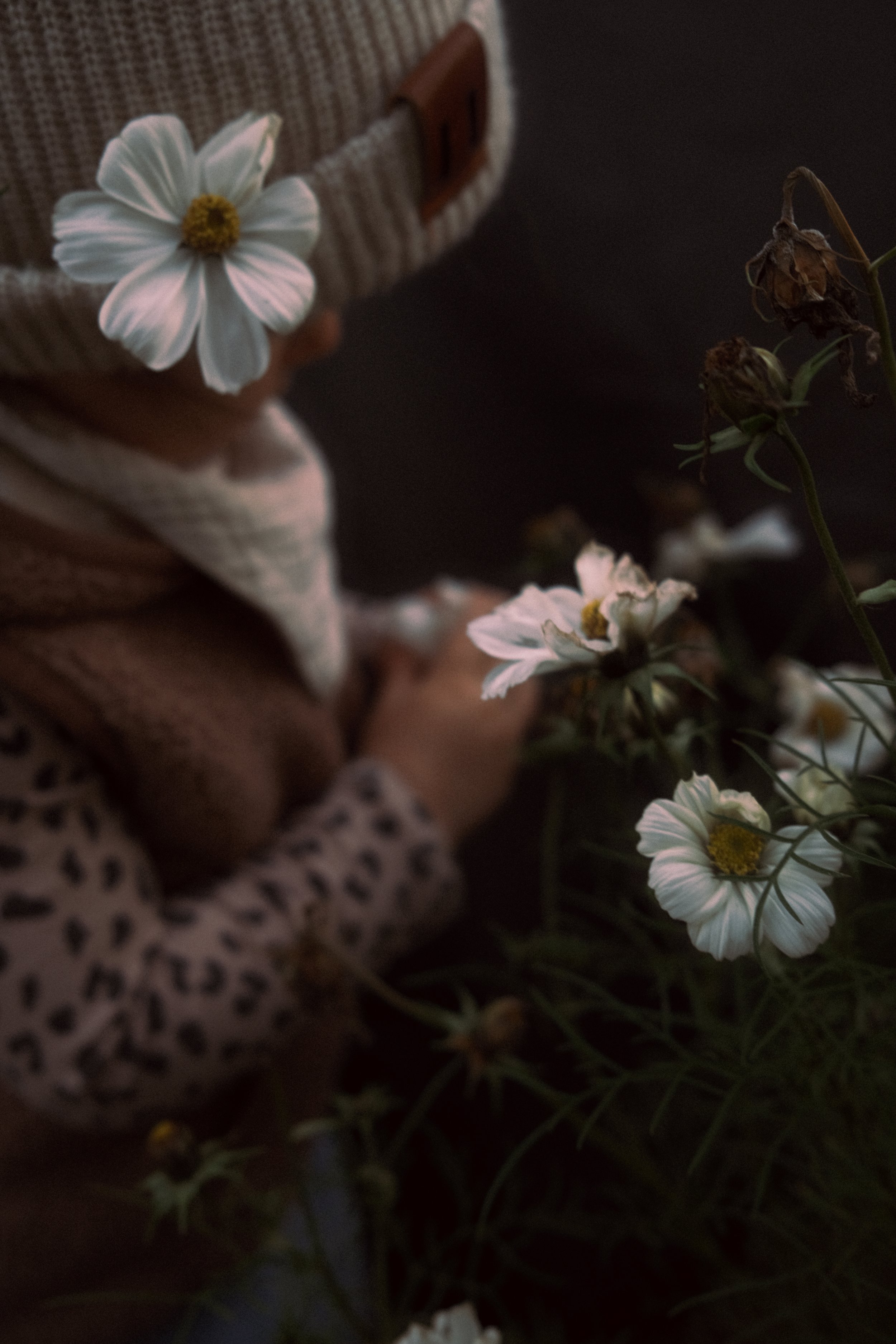 
Kunstvolles Detailbild im herbstlichen Look – feine Blumen und kuschelige Strickkleidung im stimmungsvollen, analogen Stil.