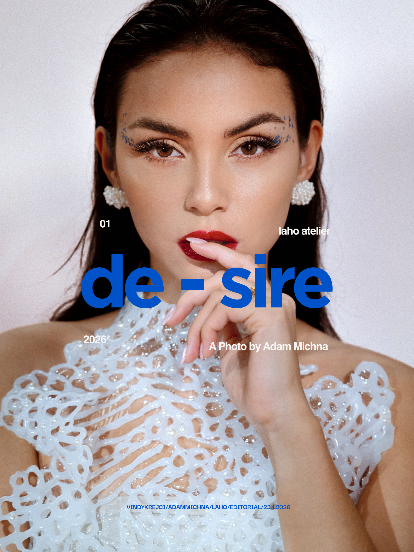 desirevindykrejciadammichnalaho2026 - 1.PNG