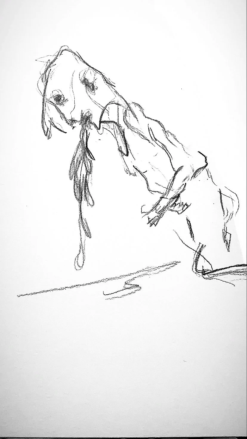 WhatsApp Image 2026-03-30 at 4.52.43 PM.jpg