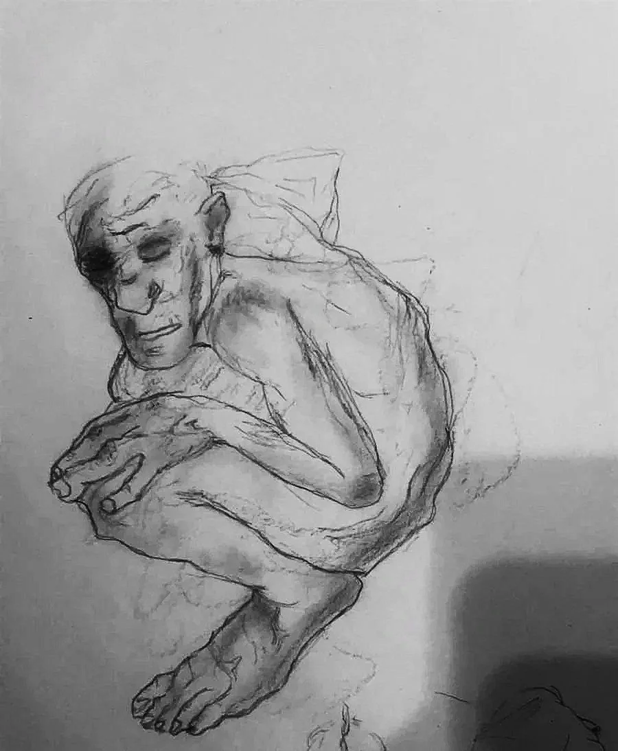 WhatsApp Image 2026-03-30 at 3.39.09 PM.jpg