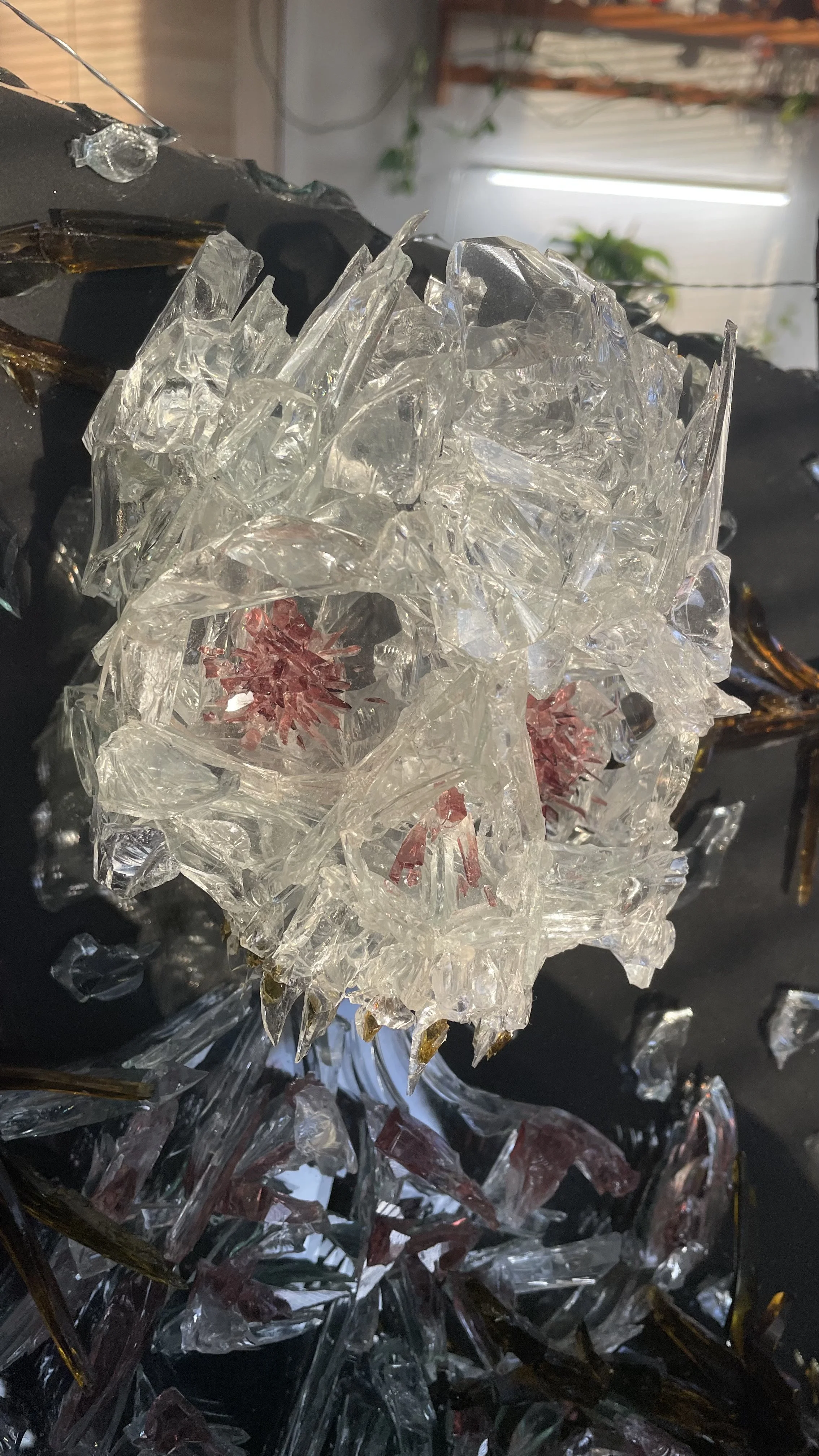 There is no planet B