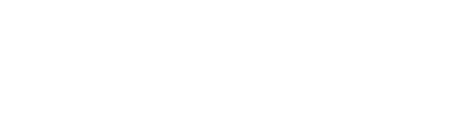 weiße Wort-/Bildmarke der Hebammen Muldental