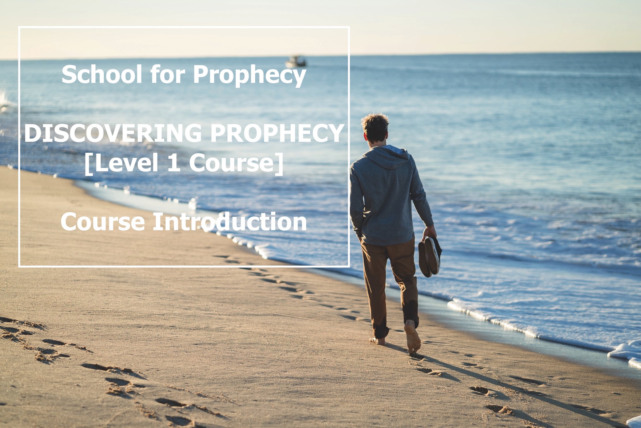 Level 1 Course Introduction &amp; Overview