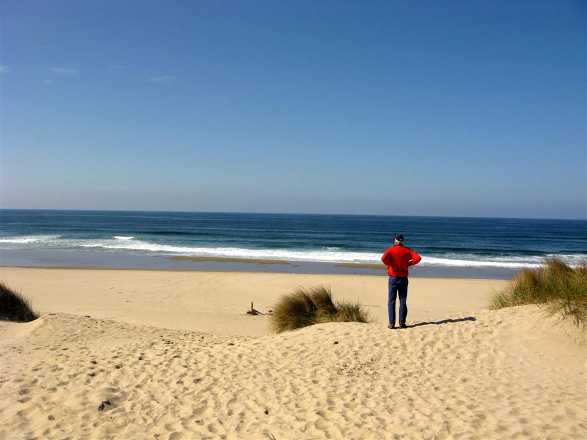 Level 1: Advanced Course Teaching Video Set