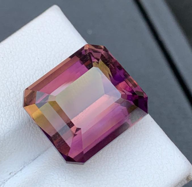 Screenshot 2026-02-23 104229.png