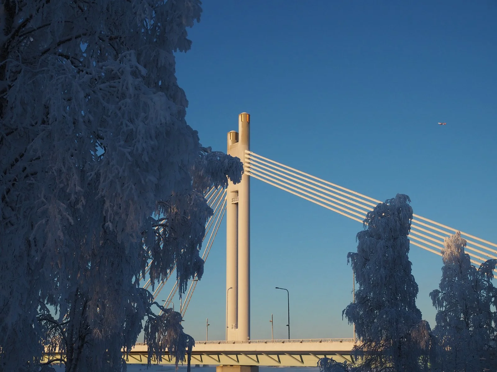 Jäässä ja lumessa peitetyt puut ja silta, taivaalla pieni lentokone