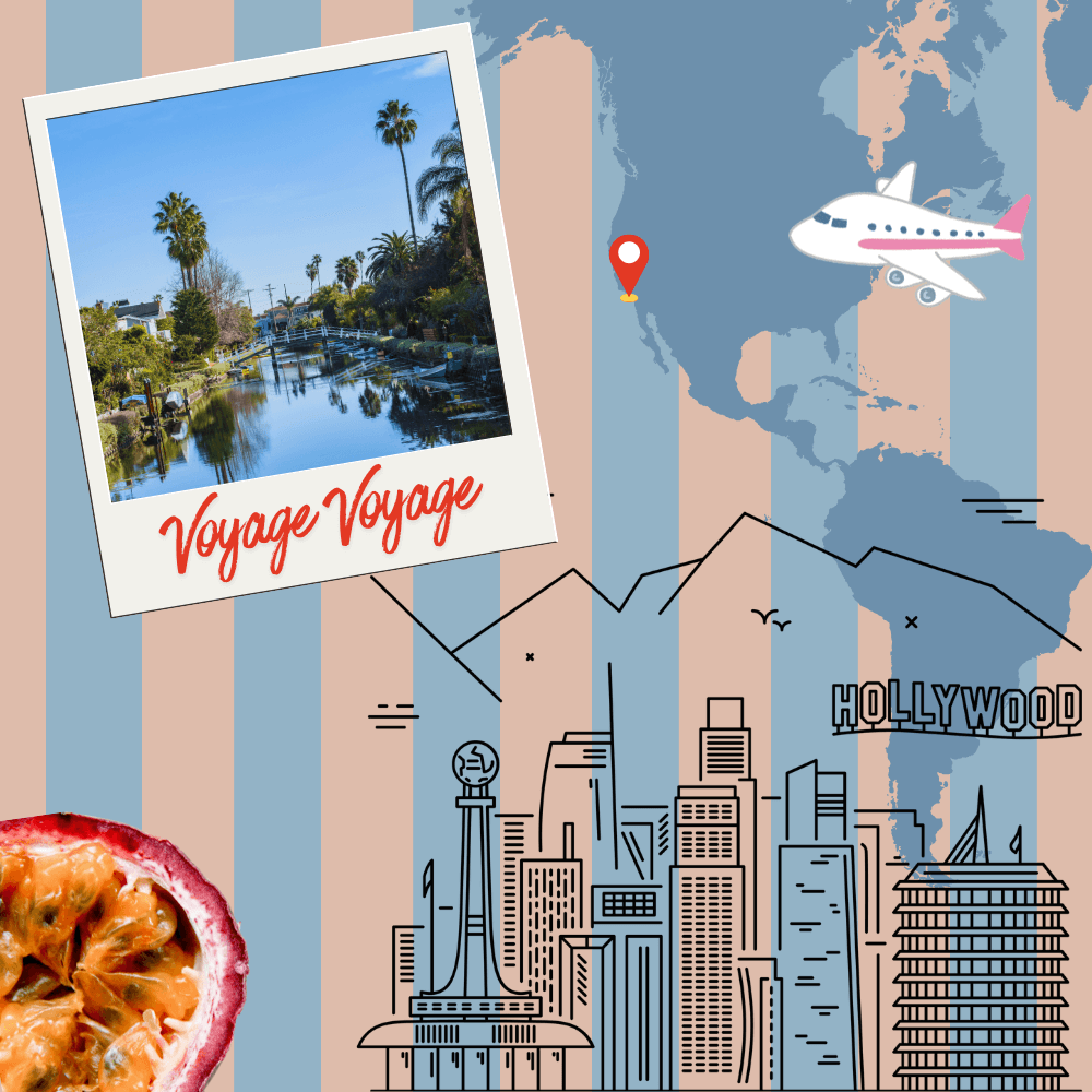 Voyage, voyage - Los Angeles und ein Sommer, der bleibt
