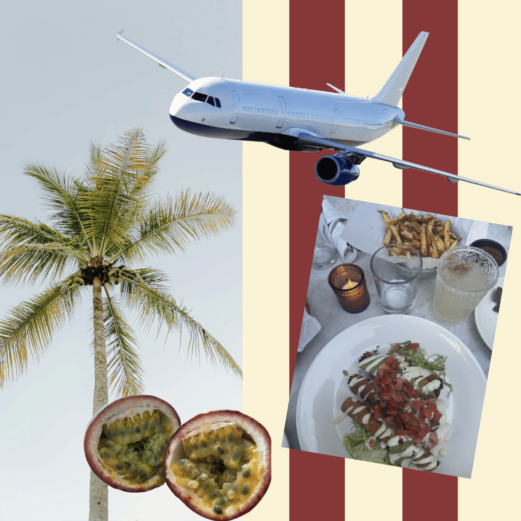 Voyage, voyage - Los Angeles und ein Sommer, der bleibt