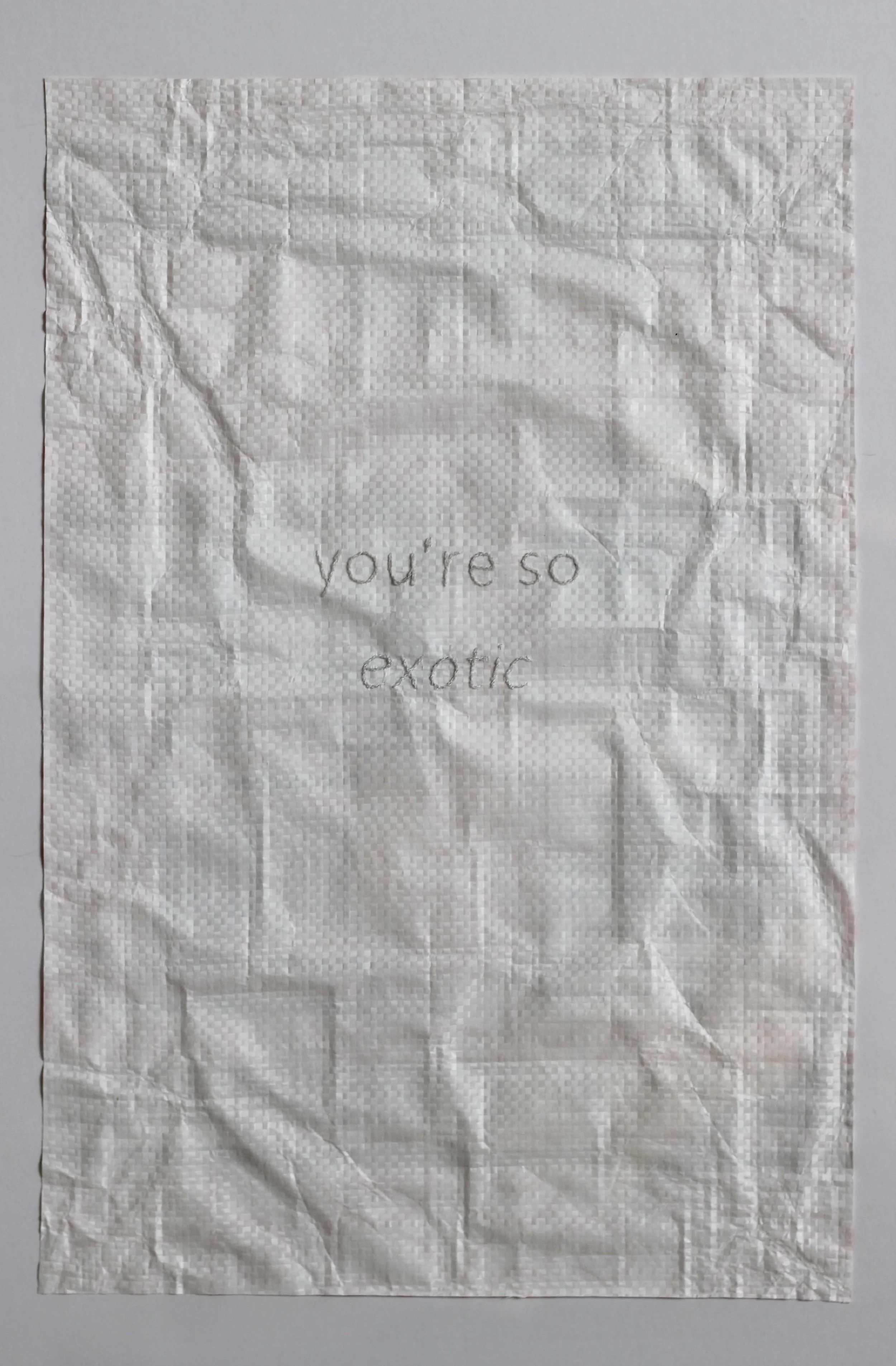 You're So Exotic.jpg