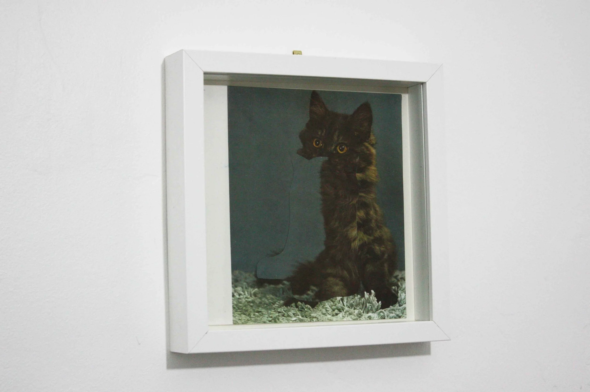 Seeing Double (5).jpg